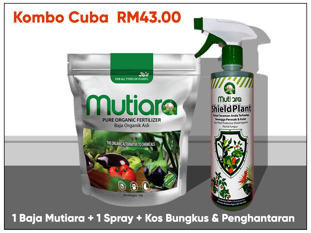 pokoksihat.com - produk-kombo-cuba