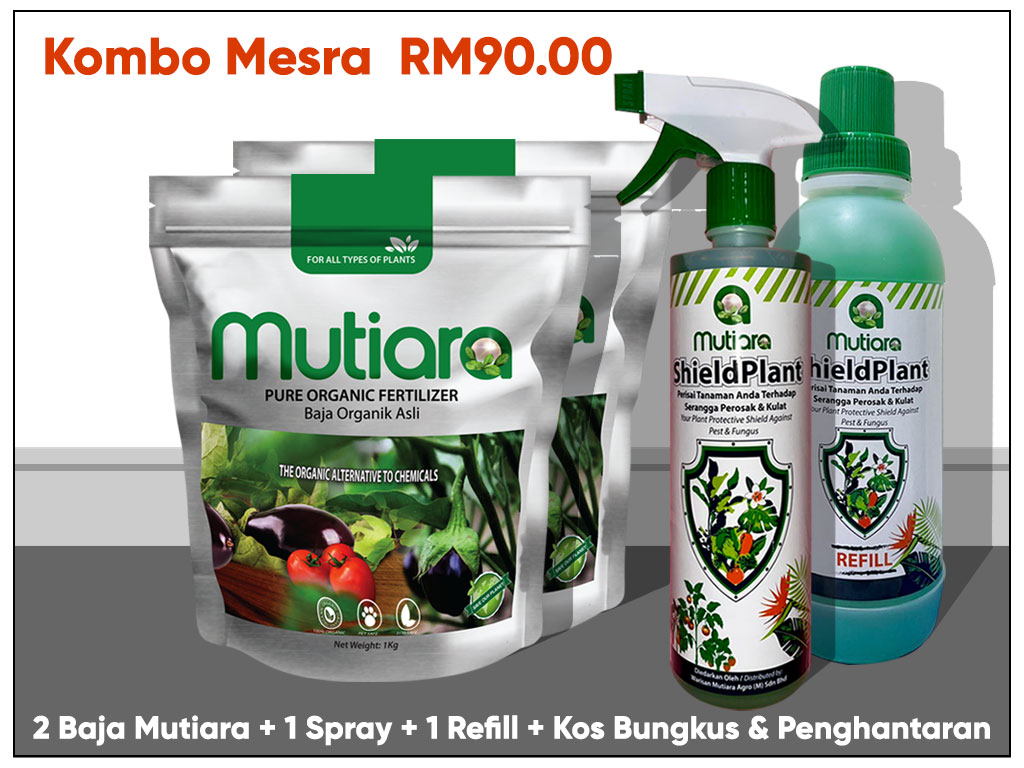 pokoksihat.com - produk-kombo-mesra