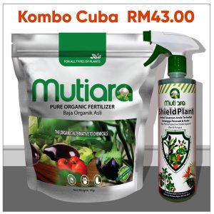 pokoksihat.com - Kombo Cuba
