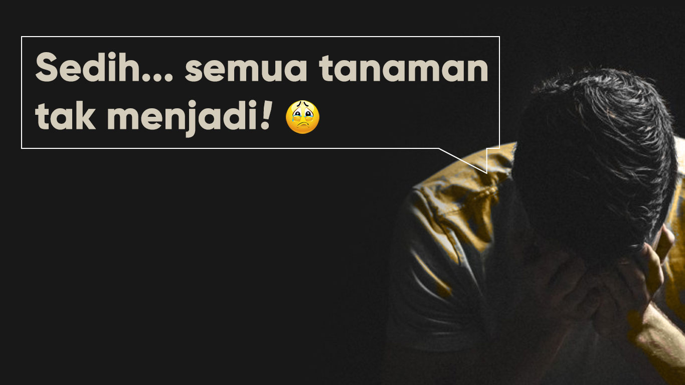 sedih-tanam-tak-menjadi-pokoksihat